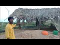 ಟಗರು ಸಾಕಾಣಿಕೆ ಬಗ್ಗೆ ಮಾಹಿತಿ nati koli farming u0026 dog farming in raichur