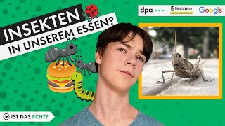 Teen-Faktencheck: Insekten im Essen? Möglich, aber nicht ohne Info