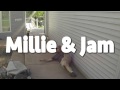 Millie and Jam - Gun Shy Promo 2