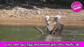 බෝවතැන්නේ සුන්දරත්වය බලන්ඩ යමු(RP TV)