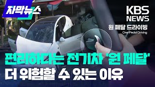 ​'카페 돌진' 테슬라 운전자 \