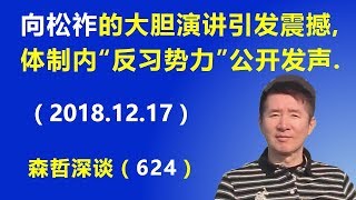 北京向松祚的大胆演讲引发震撼，体制内“反习近平势力”公开发声.（2018.12.17）