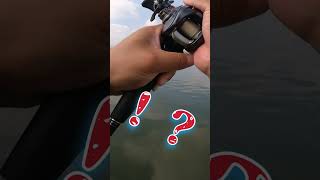 【バス釣り】根がかり？いやMonsterやw #shorts #lurefishing #mybloopers