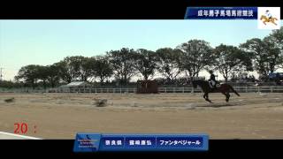 スポーツ祭東京2013馬術競技　第１競技成年男子馬場馬術競技　２番　露崎康弘選手＆ファンタベジャール　奈良県