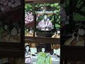 20240504 京都　下鴨神社　本日の葵祭巡行画 shorts