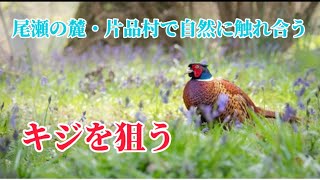 【尾瀬の麓・片品村】キジを狙ったり、自然に触れ、味わえる植物の観察