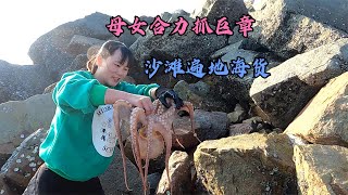 大海退潮后，小郑带女儿沙滩赶海发现遍地海货，还有一只巨型章鱼