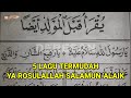 5 LAGU TERMUDAH Untuk Belajar Dibaan/Barzanji Nadhom YA ROSULALLAH SALAMUN 'ALAIK Reff Habis