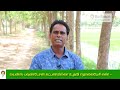 நல்ல தரமான நெல் நாற்றுகளைப் பெற தொழிநுட்பம் how to get good quality of rice seedling