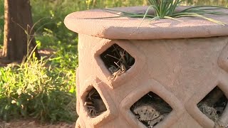 San Antonio high school students help city combat climate change