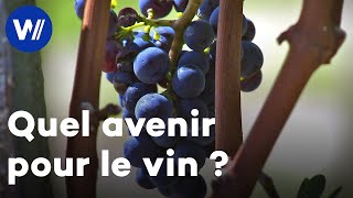 Réchauffement climatique : quels impacts sur le vin et pour l'industrie viticole ?