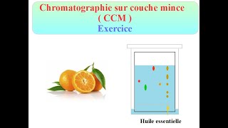 CHROMATOGRAPHIE sur COUCHE MINCE  -  Interpréter un chromatogramme. EXERCICE corrigé