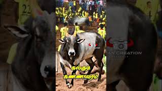 தலைசிறந்த சுத்து மாடுகளில் ஒன்று💥👑கல்குடி கண்ணாவரம்...👑💥#jallikattukalai#trendingshorts #bull #video