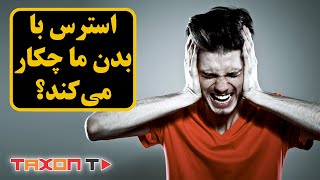 استرس با بدن ما چکار می‌کند؟