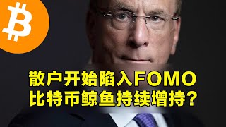 散户开始陷入FOMO！比特币鲸鱼持续增持？Coinbase呈现负溢价。  | 加密货币交易首选OKX