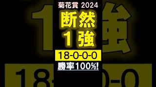 【 菊花賞 2024 】 断然１強！（18-0-0-0）勝率100%！ #競馬 #菊花賞 #shorts