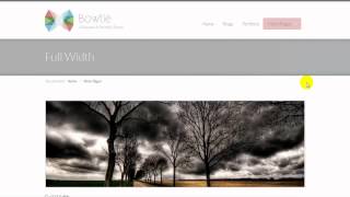Bowtie Drupal Portfolio Theme