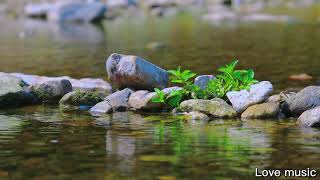 【愛音樂】把大自然帶進家中~ 森林系音樂 🌱 🍎🍀🎵 小溪 蟲鳴 鳥叫聲