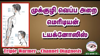 முக்குழி வெப்ப அறை மெரிடியன் டயக்னோஸிஸ் (Triple warmer Meridian Diagnosis in Acupuncture view)