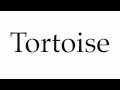 How to Pronounce Tortoise