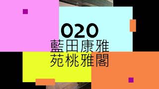 藍田康雅苑裝修 3房單位