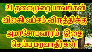 21 தலைமுறை பாவங்கள் விலகி வம்சம் விருத்திக்கு அமாசோமவாரம்  இதை செய்ய மறவாதீர்கள்!