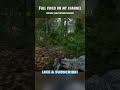 Tell me more about your bad luck? 🐊 PART 1/2 - The Isle Evrima. Carnotaurus gameplay