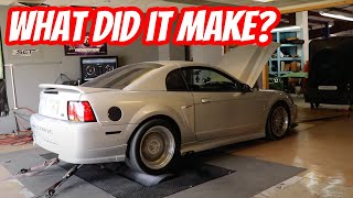 Procharged Coyote Swap Surprises us with Big Power