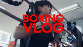 나의 복싱 7개월 성장 기록 | 복싱 브이로그 ​⁠In. @ldm_boxing