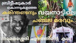 Chain tree Wayanad|Changala Maram|Karinthandan Smarakam|Vinayakan film|Wayanad malayalam travel vlog