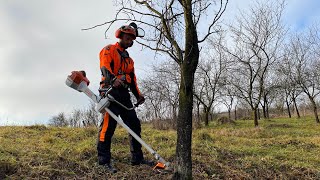 Cutting down two trees with Stihl Fs 561-C and Stihl Fs 560-C with circular saw blade.