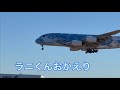 【初日の出フライト】 成田国際空港　nrt 今年初めてのお空の散歩 さくらの山公園からのひこうきの丘