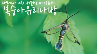 나무의사 2차 예상문제  복숭아유리나방