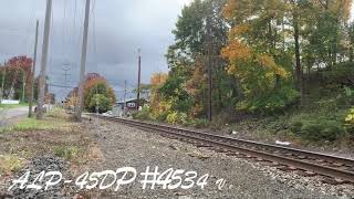 NJT #2111 Crosses Crooked Hill Road with ALP-45DP #4534 Veterans Unit In The Lead - 10/24/2020