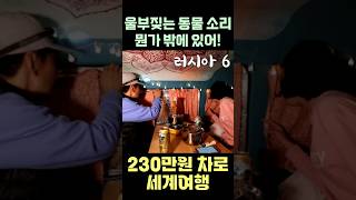 세계여행 중 #캠핑카 밖에 동물소리가 난다면? #차박 #세계여행  #유라시아횡단