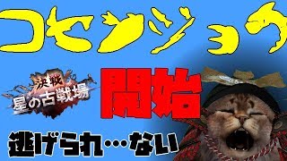 逃げられない古戦場…開始!!　グラブルLIVE