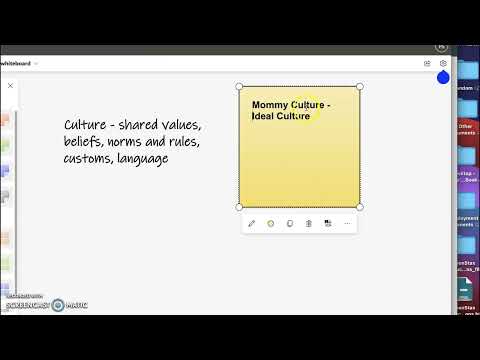 What is ideal culture example?