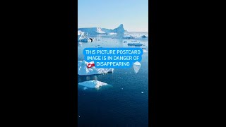 Greenland's eternal icebergs are melting – What the government does