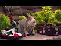 The Thundermans | Outdoorsy | Nickelodeon UK