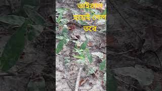 amazing video#একি একেমন ভাইরাল হলো