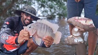 Segredo para você pescar tilapia! Dicas para pescaria de tilápias