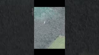 Plane Shocking Fall #viralvideo #plane #fall #amzing