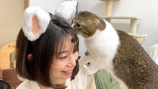 🐈ぽこ太郎とうま次郎の鳴き声が入った猫耳を試してみた結果がすごかった…w