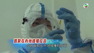 無綫730 - 一小時新聞 -原本預計月底供港的科興疫苗最新測試的有效率只有五成 專家指五成保護率都有一定成效 是否採購保護率較高的國藥疫苗就要再審視 TVB News-2021013
