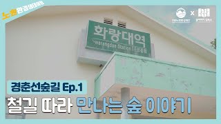 화랑대 철도공원 ep1.철길따라 만나는 숲 이야기_숲해설_온라인생태교육_노원환경재단