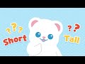 tall and short math song l nursery rhymes u0026 kids songs