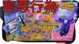 とび森害悪行為まとめ動画↑↑ /オン島