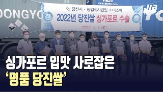 [JIB뉴스] 싱가포르 입맛 사로잡은 ‘명품 당진쌀’ l 220707