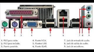 Elementos de entrada y salida de una pc