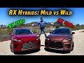 Efficiency Or Performance? Lexus Finally Offers A Choice | 2023 RX 350h & 500h First Drive